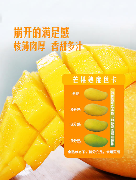MM 山姆 纸核芒 3kg 商品图4