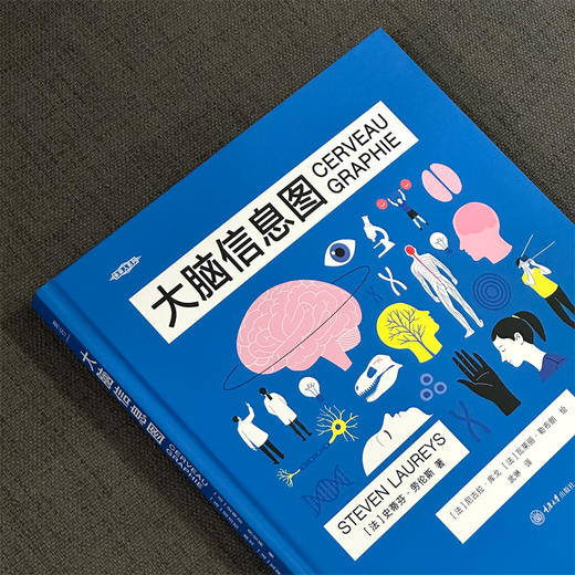大脑信息图 商品图1