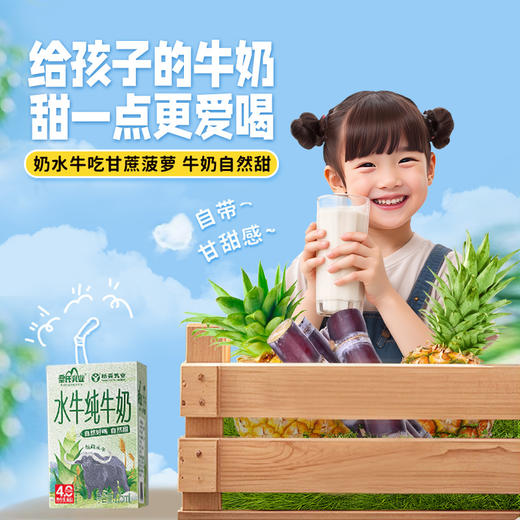 皇氏杨森水牛纯牛奶   125mL*16盒/箱【WHD】 商品图4