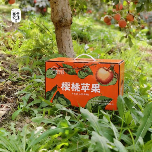 阿克苏樱桃苹果 （松脆多汁 清爽香甜）5斤装/8斤装 顺丰快递 下单后72小时发货 商品图3