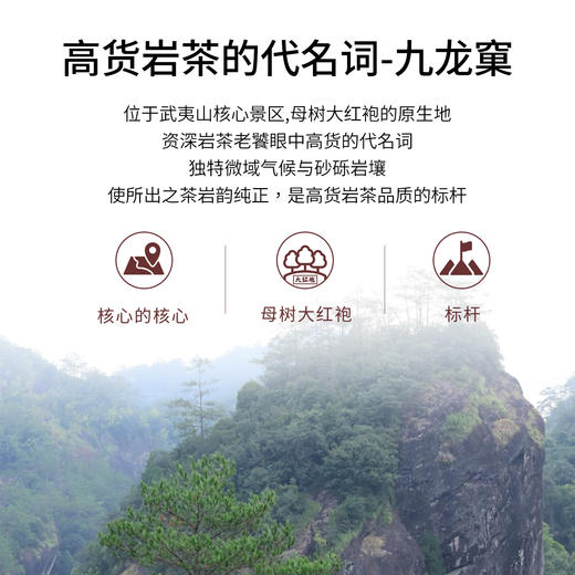 【窠岩氏】01九龙窠老树肉桂80g 商品图3