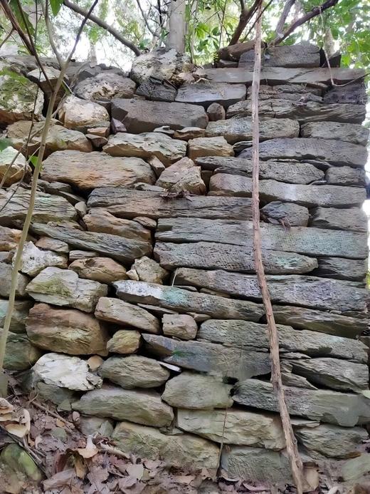 4月3日中午12点【金竹林】2026年春茶预售弯弓金竹林・普洱生茶 易武秘境，柔中藏刚的山野甜韵 献给发烧友的藏品！357g/饼 商品图5