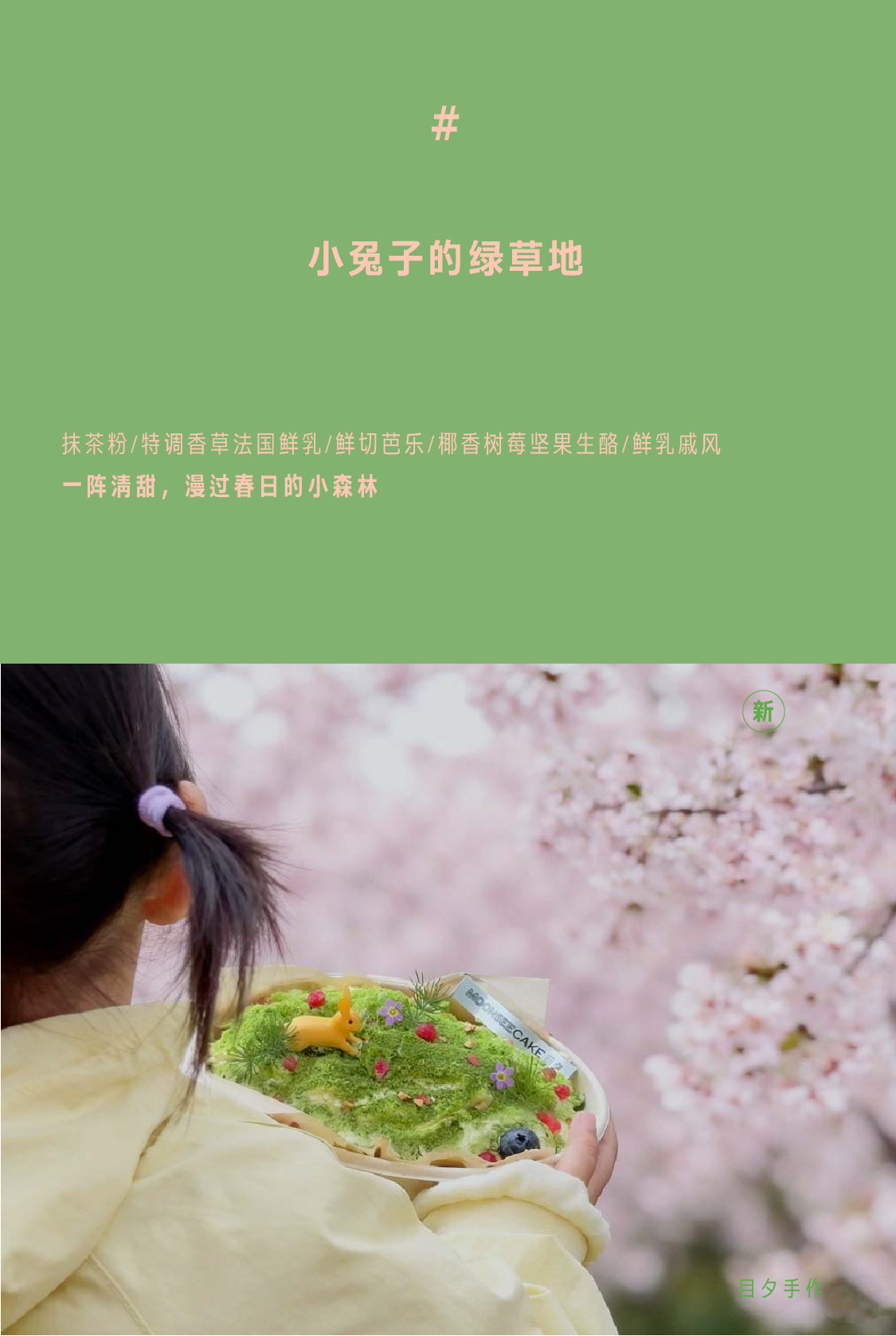 小兔子的绿草地