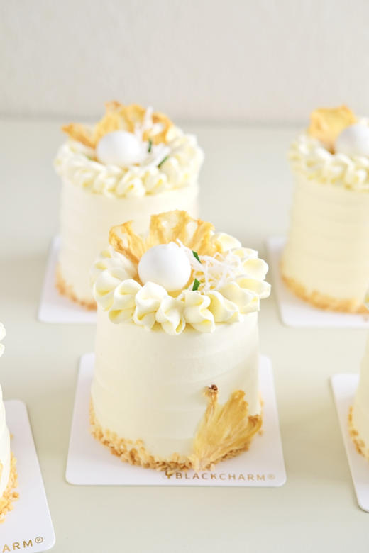 椰椰凤梨（mini款） 商品图4