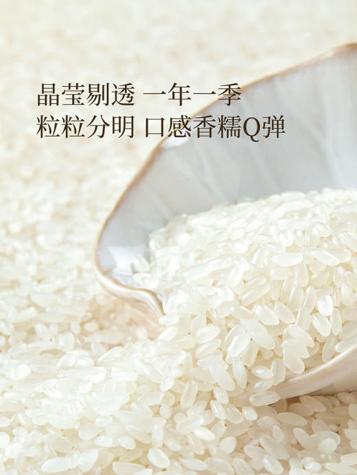 十月稻田优质东北大米长粒香5kg*2  山姆会员店商品非商品原因不支持退款 商品图4