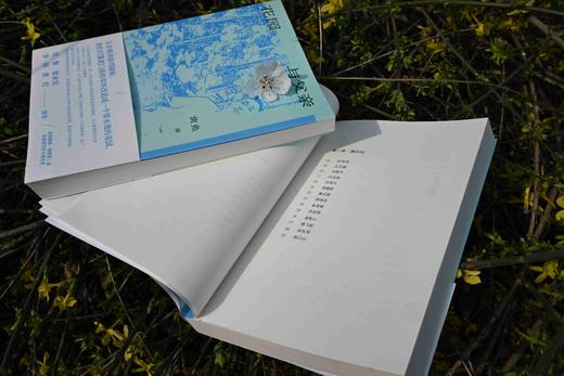 花园与父亲  黄鱼/著 {北贝} 商品图8