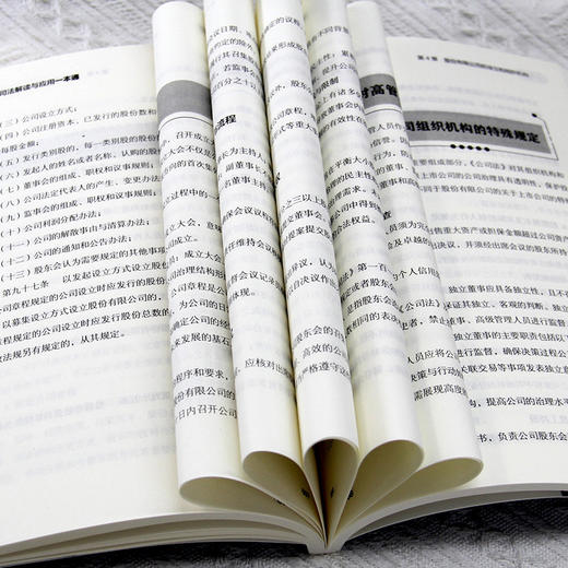 公司法:司法解读与应用一本通 商品图4