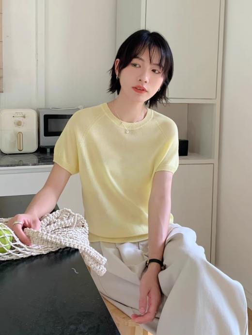 3-5天发货 32%天丝 马卡龙系无缝一线针织短袖 莱赛尔 + 莫代尔黄金混纺  A-5928 商品图4