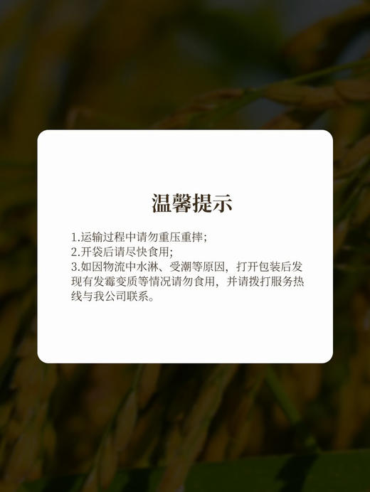 十月稻田优质东北大米长粒香5kg*2  山姆会员店商品非商品原因不支持退款 商品图8
