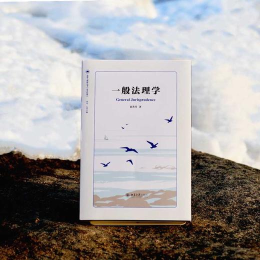 一般法理学 商品图3