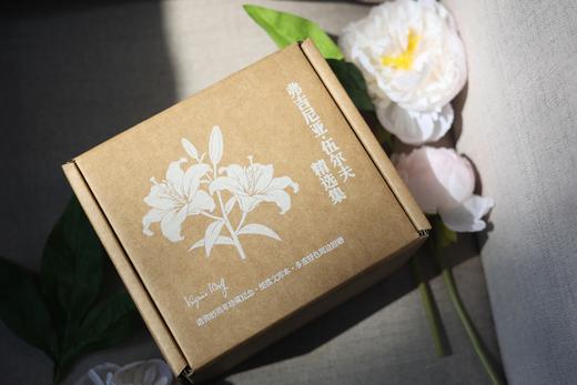 《伍尔夫精选集文库本》特装刷边 | 弗吉尼亚·伍尔夫逝世85周年珍藏纪念 商品图4