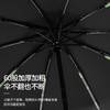 雨宝·自动晴雨伞 加大加厚伞面，可抗暴雨 UPF50+防晒 商品缩略图2