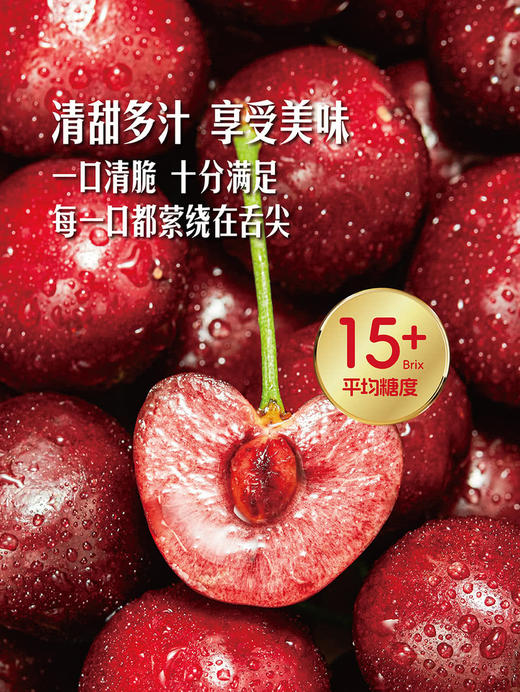MM 山姆 3J大连樱桃 907g 商品图2
