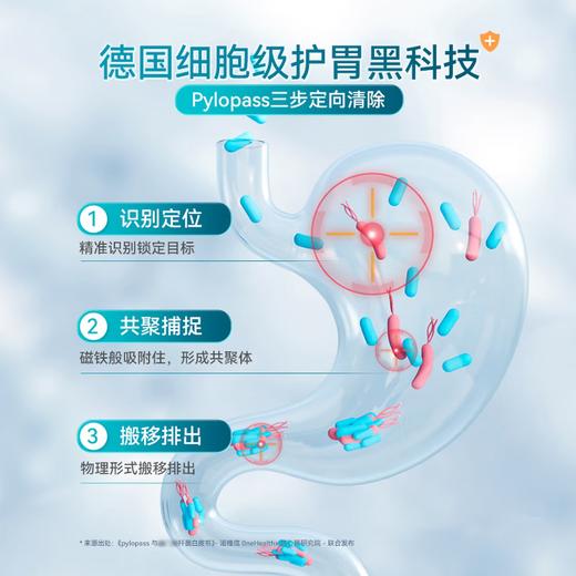 【德国Purmeo帕米奥】养胃益肠优惠组合装/养胃益生菌胶囊30粒/盒+肠道益生菌胶囊 60粒/瓶 商品图2