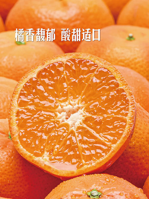MM 山姆 探戈橘 3kg 商品图3