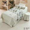春风-雪尼尔美容床罩4件套(190*80*60) 商品缩略图4