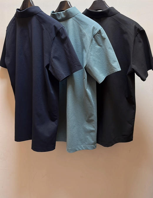 41-7 极速秒杀 今晚24点前 两棵树新款 男士翻领polo短袖T恤 老朱穿XL 商品图10