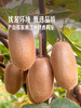 MM 山姆 金福猕猴桃 1.36kg 商品缩略图4