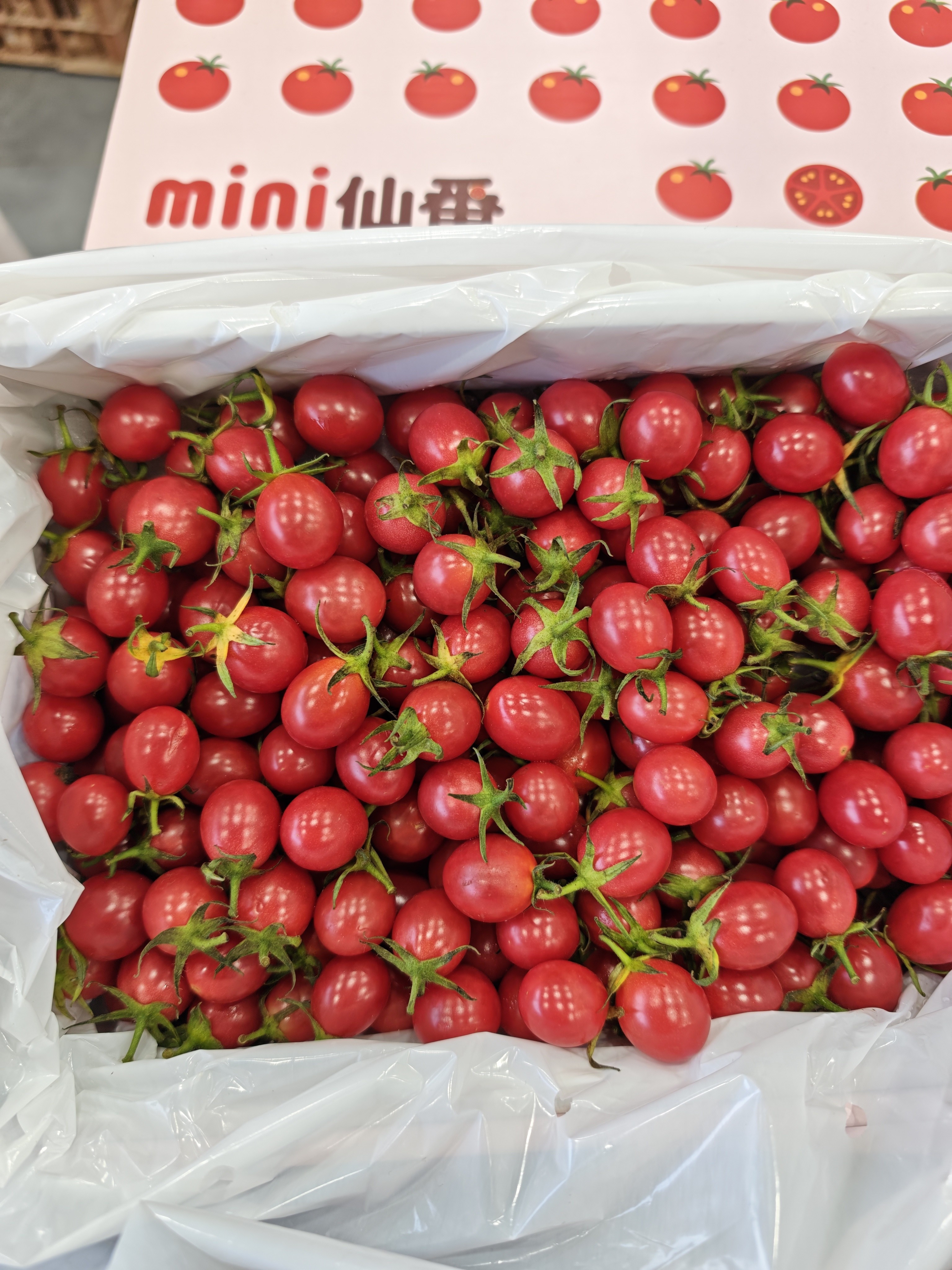 mini仙番 小番茄 2号果 甜度高 29.9/件（2斤净果）