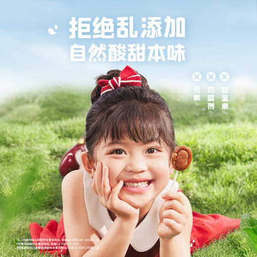 英氏忆小口鲜果山楂棒【89元任选5件+5件礼品】 商品图4