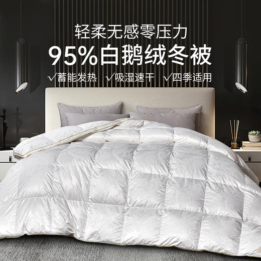 雅芳婷95白鹅绒冬被轻盈保暖透气羽绒被抑菌防螨冬季被芯床上用品 商品图0