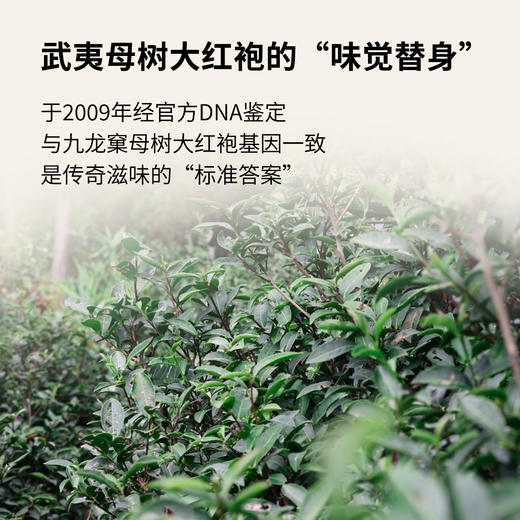 【窠岩氏】02九龙窠奇丹80g 商品图2