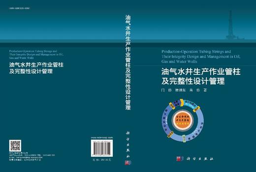 油气水井生产作业管柱及完整性设计管理 闫伟 檀朝东 肖伟 9787030665355 商品图3