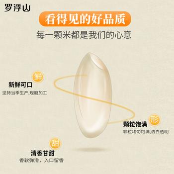 伴永康梯香大米10斤  长粒籼米 大米  煲仔饭  当季新米 囤货装 /粮油调味 /米 /丝苗米 商品图0