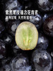 MM 山姆 进口无籽黑提 1.36kg 商品缩略图5