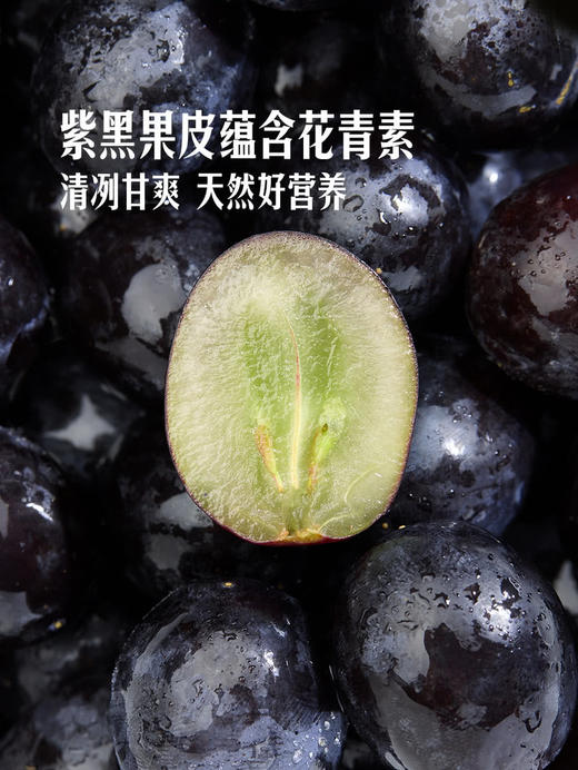 MM 山姆 进口无籽黑提 1.36kg 商品图5