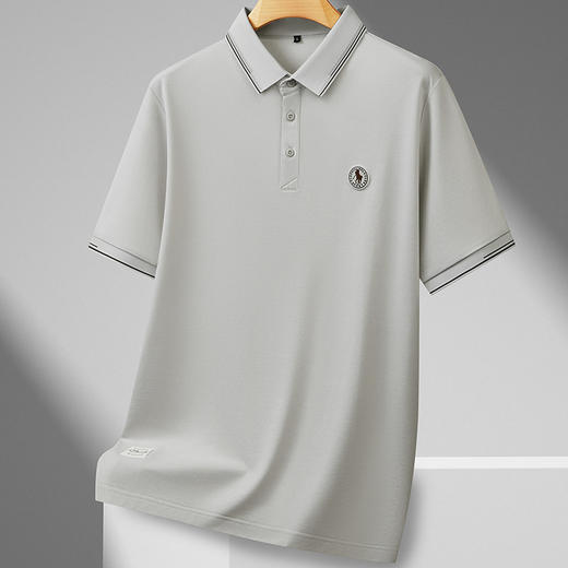 【DDS】大依优型大码男装夏季桑蚕丝亚麻混纺短袖POLO衫商务休闲百搭T恤 商品图3