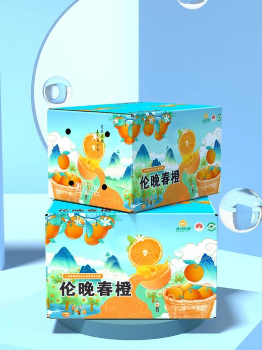 正宗秭归伦晚橙春橙 酸甜多汁  果径75-80左右 整箱10斤装 商品图4