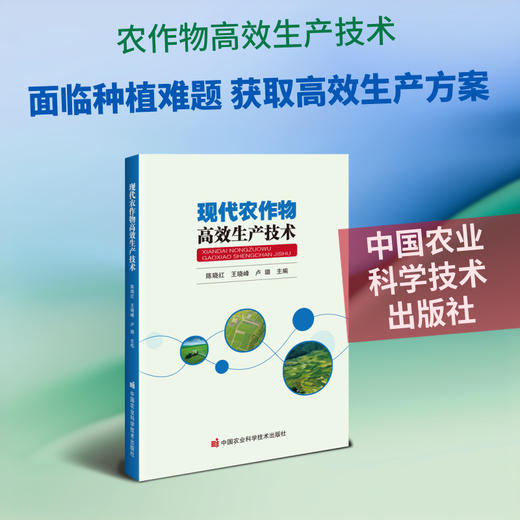 现代农作物高效生产技术 商品图0