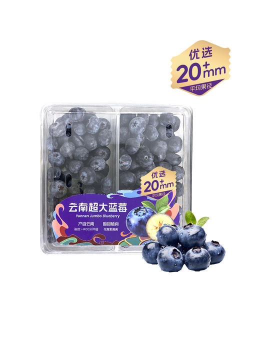 MM 山姆 20mm云南蓝莓 600g 商品图0