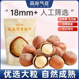 【高校专属&全场满99包邮】森林气息开口榛子5袋装JL