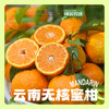 【云南花香无核蜜柑】春日甜蜜暴击爆汁花香蜜柑，一口咬出阳光的味道🌞 商品缩略图1