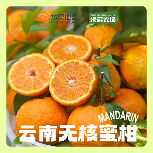 【云南花香无核蜜柑】春日甜蜜暴击爆汁花香蜜柑，一口咬出阳光的味道🌞 商品图1