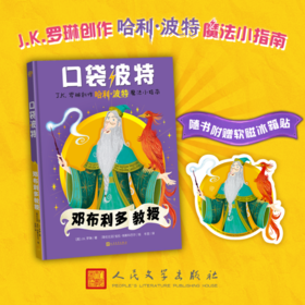 口袋波特:邓布利多教授