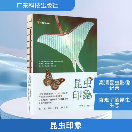 昆虫印象 商品图0