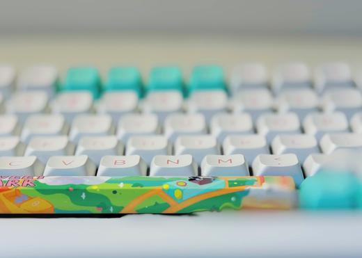 玄派熊猫客制化97/98键键帽-sweetpark款 商品图3