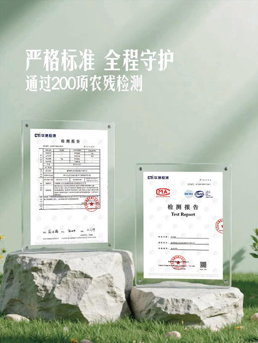 MM 山姆 探戈橘 3kg 商品图4