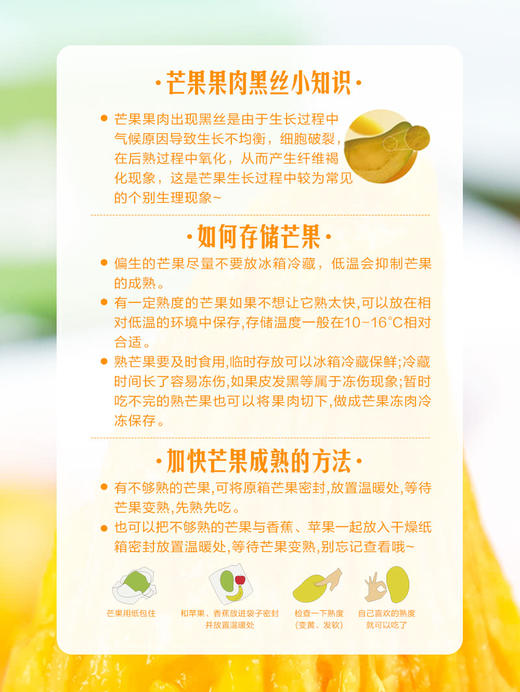 MM 山姆 纸核芒 3kg 商品图6