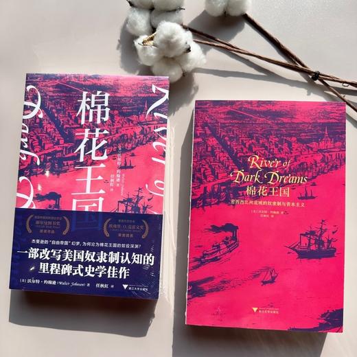 棉花王国:密西西比河流域的奴隶制和资本主义 商品图3
