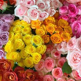 【斌哥优选】玫瑰鲜花盲盒/立陶宛百合/朱顶红。做个浪漫的人，从给自己买一束花开始。让家中充满生命力。需要收到醒花哦，注意看每种花的售后规则，感恩。