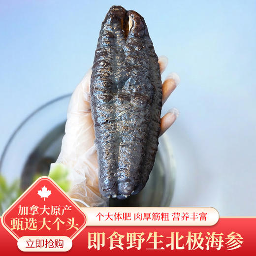 【至臻款】OceanFeast加拿大即食北极参【4-7头/公斤】 商品图1