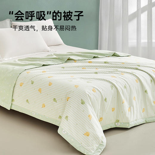 【直降125】全棉印花夏被(清香牛油果) 商品图1