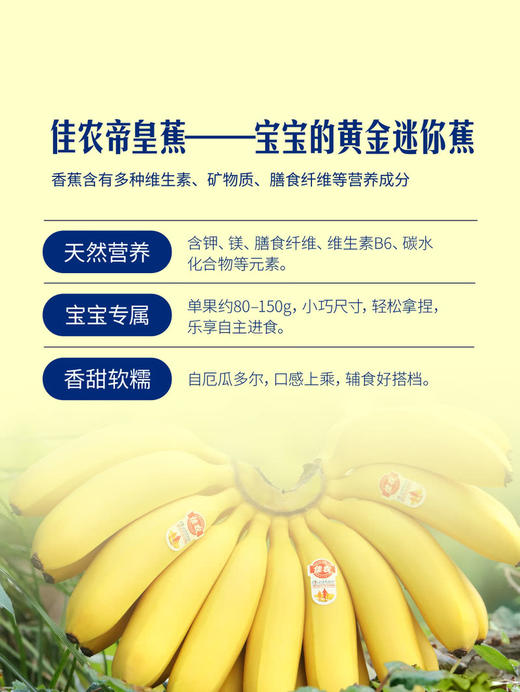 MM 山姆 进口皇帝蕉 600g 商品图5
