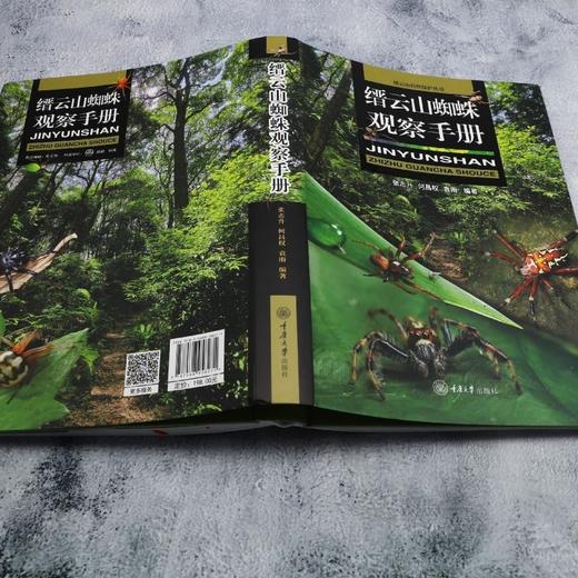 缙云山蜘蛛观察手册 商品图3