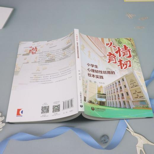 以情育韧:小学生心理韧性培育的校本实践 商品图3