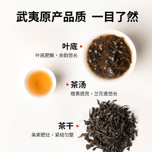 窠岩氏  兰香水仙250g  盒装包邮 商品图5